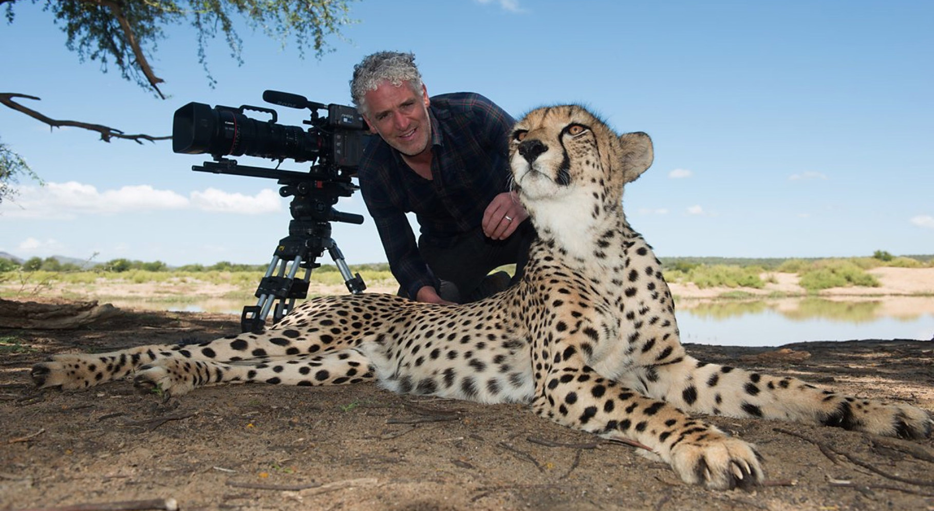 Animals with Cameras